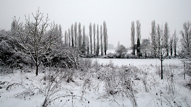 Les cons�quences de cet �pisode neigeux vont encore se faire sentir.| � Jean‐Paul Epinette ‐ iCimedia