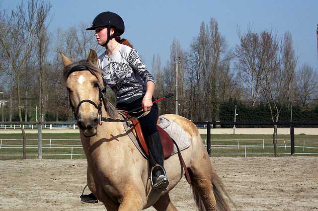 Un parcours de concours hippique devrait être créée au Pesquié-bas.| © Jean‐Paul Epinette ‐ iCimedia|Jean-Paul Epinette