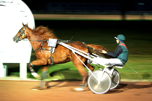 Six courses au trot attelé figurent au programme...|Photo © Jean‐Paul Epinette ‐ icimedia@free.fr Six courses au trot attelé figurent au programme...|Photo © Jean‐Paul Epinette ‐ icimedia@free.fr