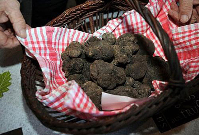 Un bon panier de truffes de la région...|Archives © jean-Paul Epinette - icimedia@free.fr