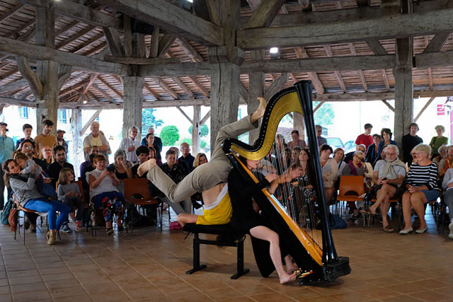 Résonances : une harpe et une barrière, un homme et une femme, des accords et désaccords...|Photo © jean-Paul Epinette - icimedia@free.fr Résonances : une harpe et une barrière, un homme et une femme, des accords et désaccords...|Photo © jean-Paul Epinette - icimedia@free.fr