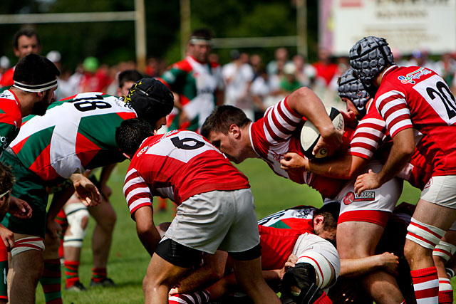 Les avants capelains se battront jusqu'au bout... - Photo © jean-Paul Epinette - icimedia@free.fr Les avants capelains se battront jusqu'au bout... - Photo © jean-Paul Epinette - icimedia@free.fr