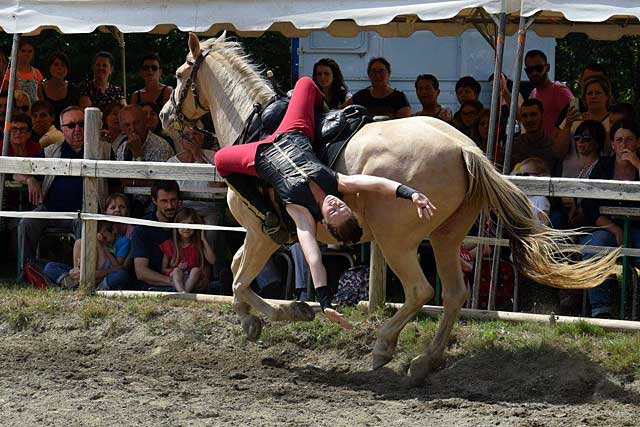 Les amazones de Festibérique seront les vedettes de la Fête du Cheval de Villeréal|Photo © Festibérique