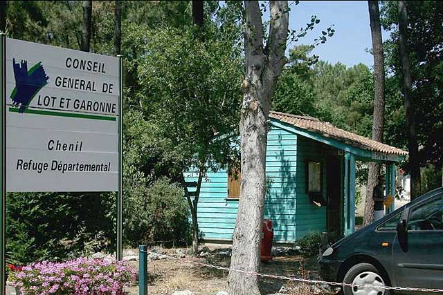 Le chenil de Caubeyres est géré par le département de Lot-et-Garonne.|Photo DR Le chenil de Caubeyres est géré par le département de Lot-et-Garonne.|Photo DR