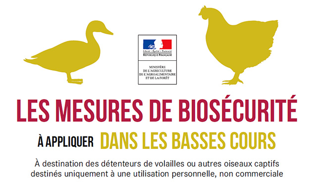 Des mesure de bio-sécurité à appliquer dès à présent...|Illustration DR Des mesure de bio-sécurité à appliquer dès à présent...|Illustration DR