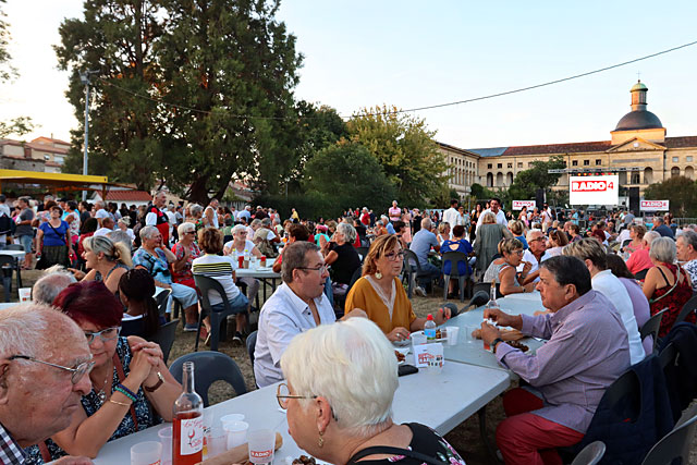 Sur la pelouse du Parc Saint-Cyr, 3000 auditeurs se sont retrouvés pour une grande fête populaire et bon enfant. La grande famille Radio 4 ! - Photo © Jean-Paul Épinette.